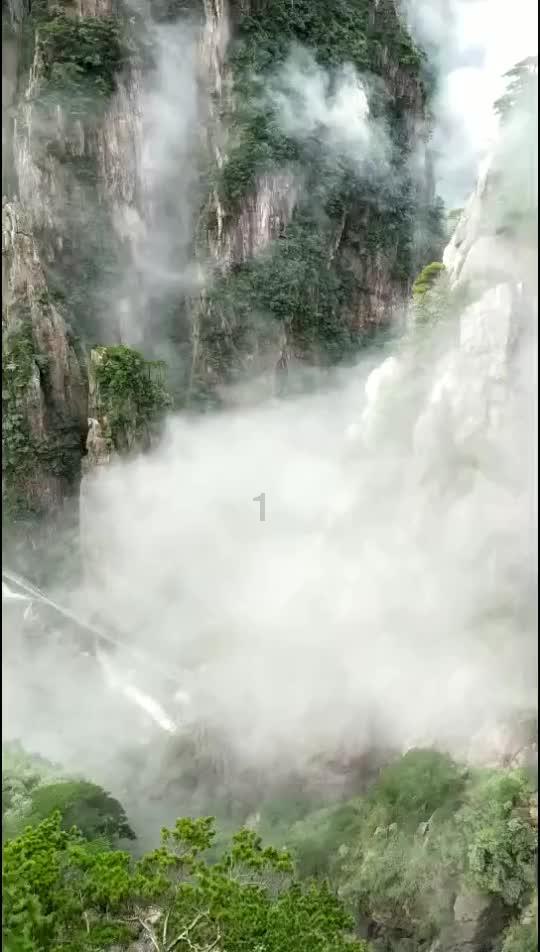 lpl买押注那个app靠谱点的